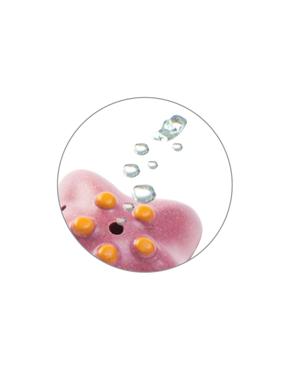Sea Life Bath Set For Sale - Image 4